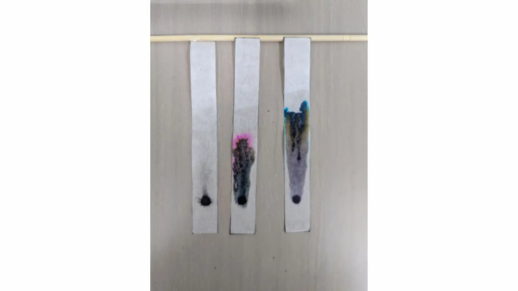 【自由研究】ペーパークロマトグラフィーで黒を分ける実験【自由研究】