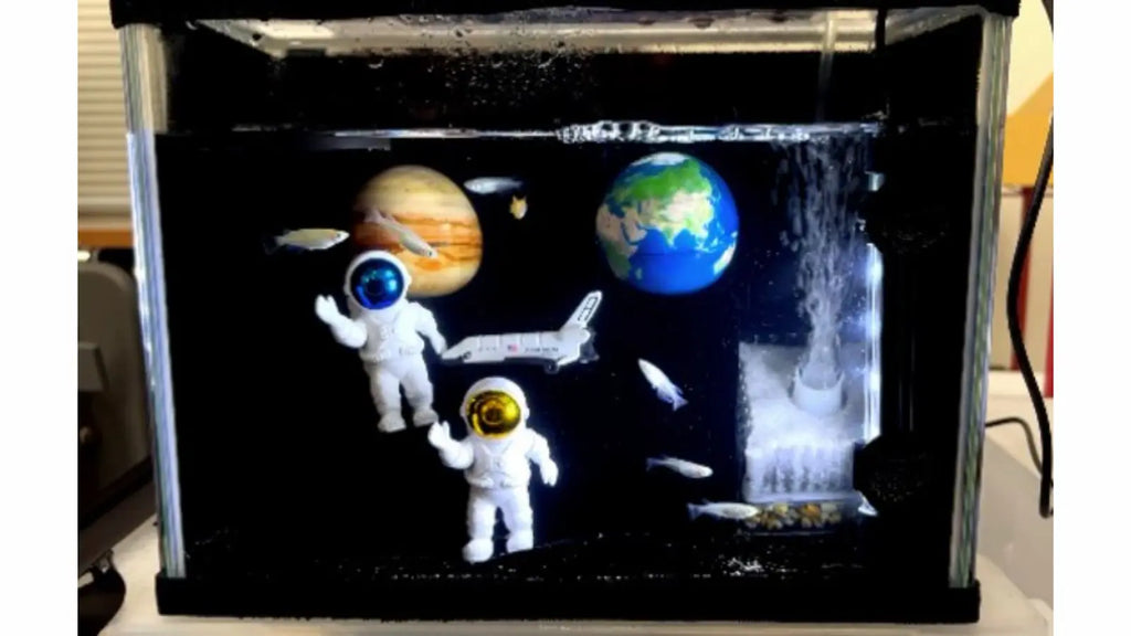 世界一黒い布「太黒門」で「映える水槽」作りにチャレンジしませんか?