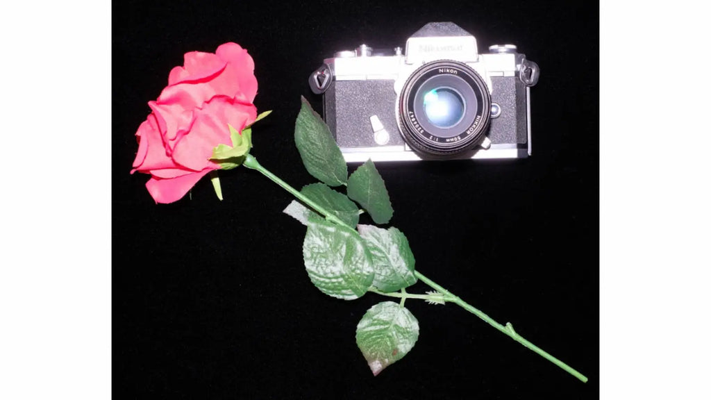 世界一の黒さ対決!? VANTABLACK vs 太黒門